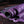 Sepici - Raptor Purple 3oz