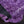 Sepici - Raptor Purple 3oz