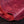 Arif & Sons - Borealis Ruby 3-4oz
