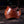 OAO - Chip Wax Cognac 8-9oz CUSTOM STRAP LENGTHS