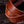 OAO - Chip Wax Cognac 8-9oz CUSTOM STRAP LENGTHS