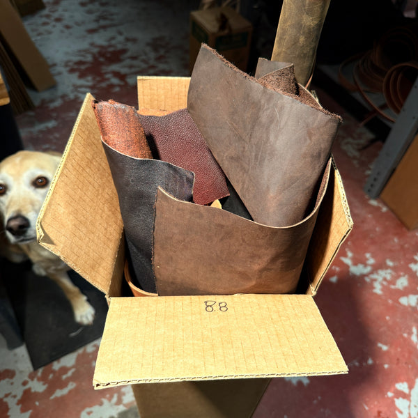 Auction Box - 8.80 kg (x1 Box)